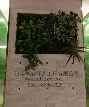 仿真绿植墙