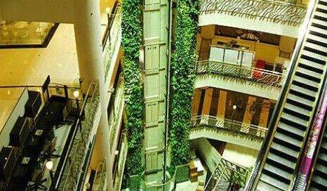 高层高层立体式线条形仿真植物墙