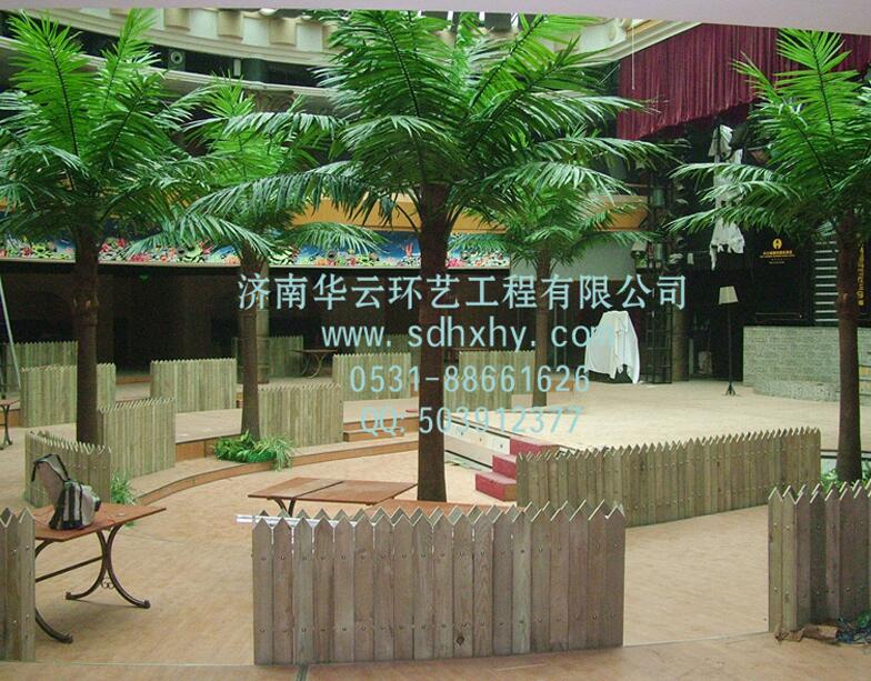 棕榈树